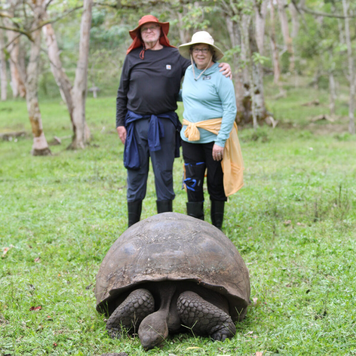 Nancy – Clinton, Tennessee